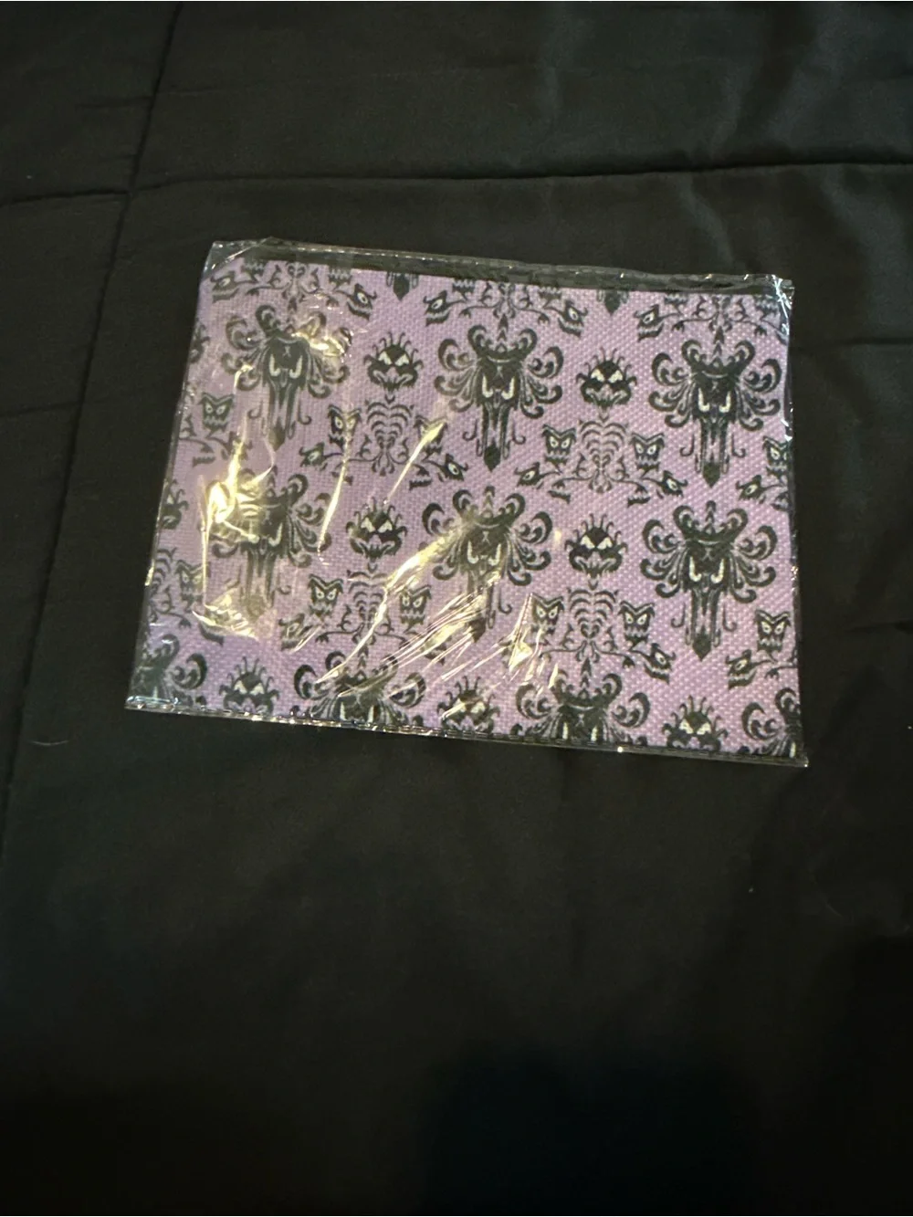 Haunted Mansion Makeup Bag